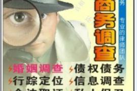 驻马店追债公司收费标准：全面解析与案例分析