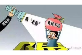 黑龙江催收团伙：揭秘黑色产业链的阴影